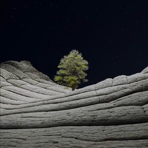 Meet your Posher, Alejandro